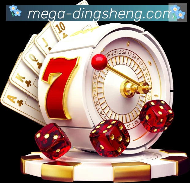 奖项证书